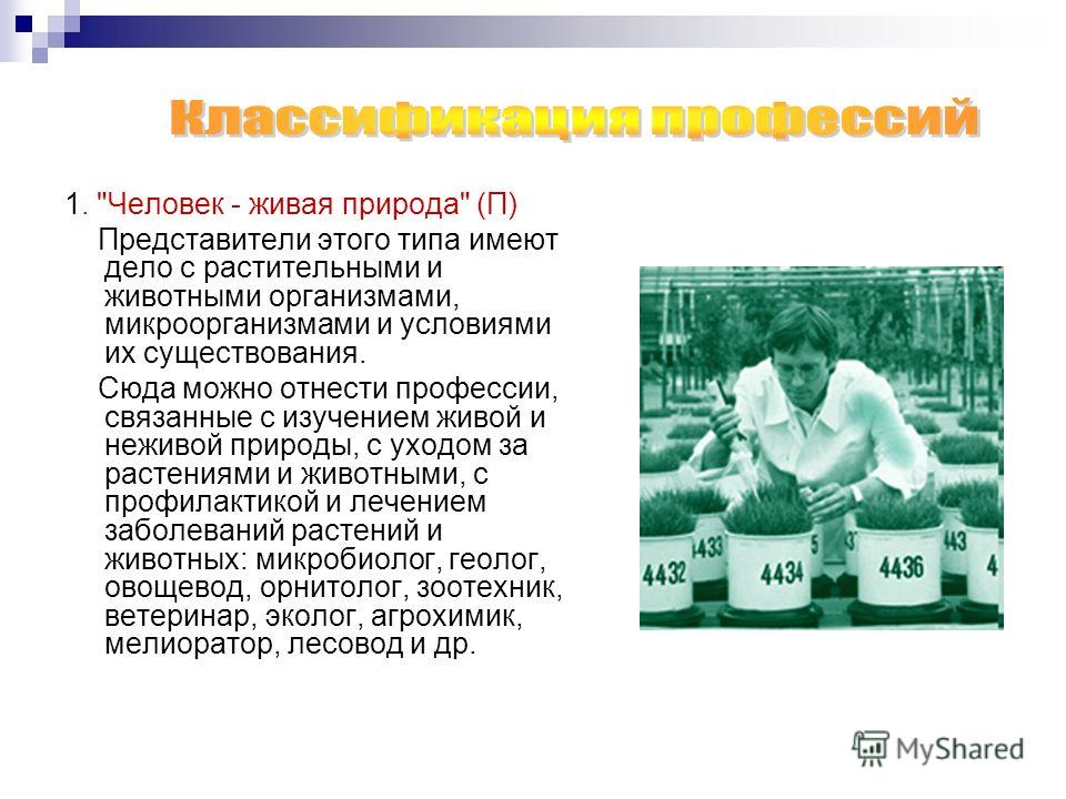 Какую поделку можно сделать осенью Какую поделку можно сделать осенью