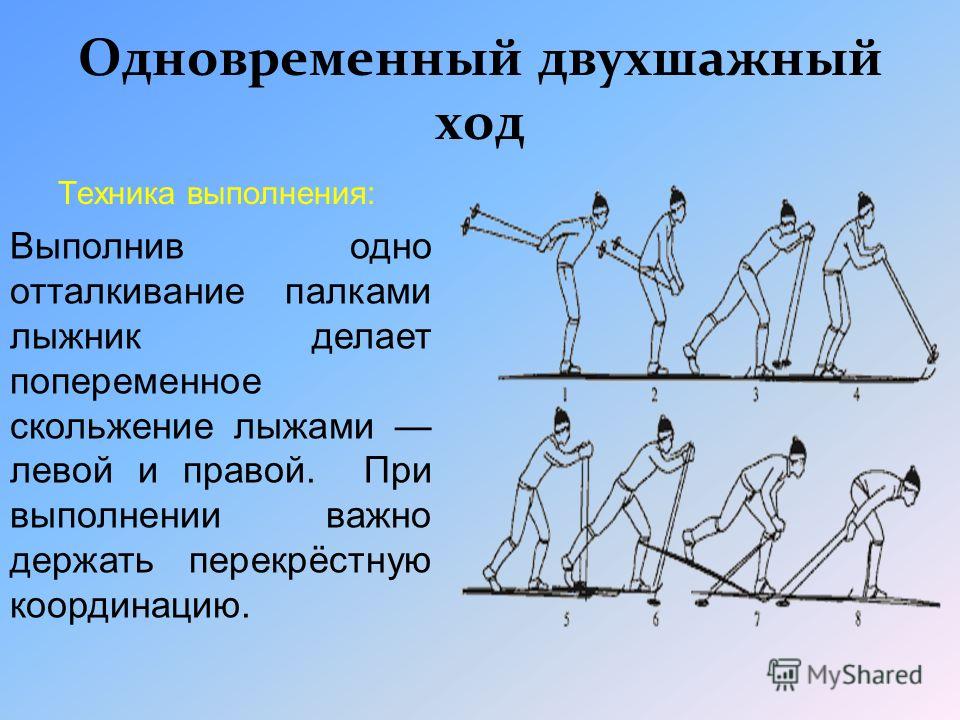 Реферат по теме Попеременный двухшажный ход Реферат по теме Попеременный двухшажный ход