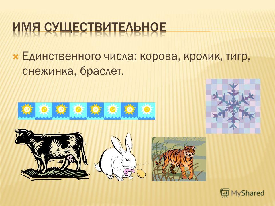 Единственного числа: корова, кролик, тигр, снежинка, браслет.
