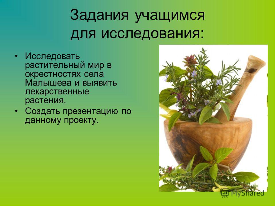 какими препаратами можно увеличить грудьв какими препаратами можно увеличить грудьв