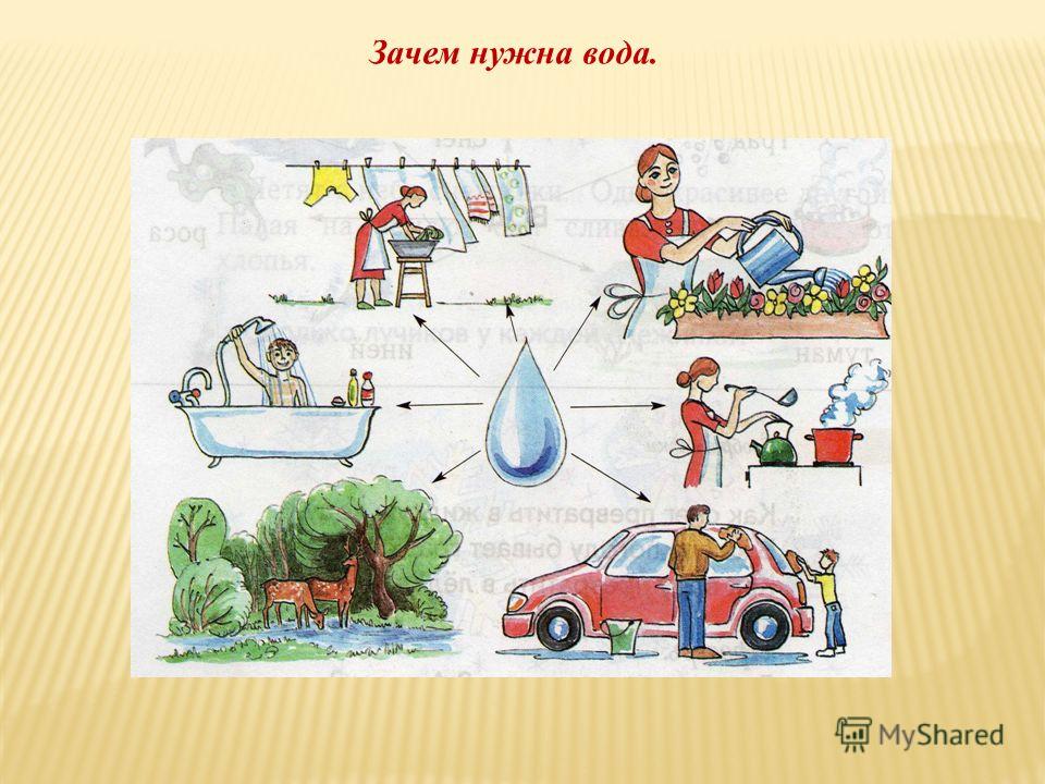 Схема для чего нужна вода Схема для чего нужна вода