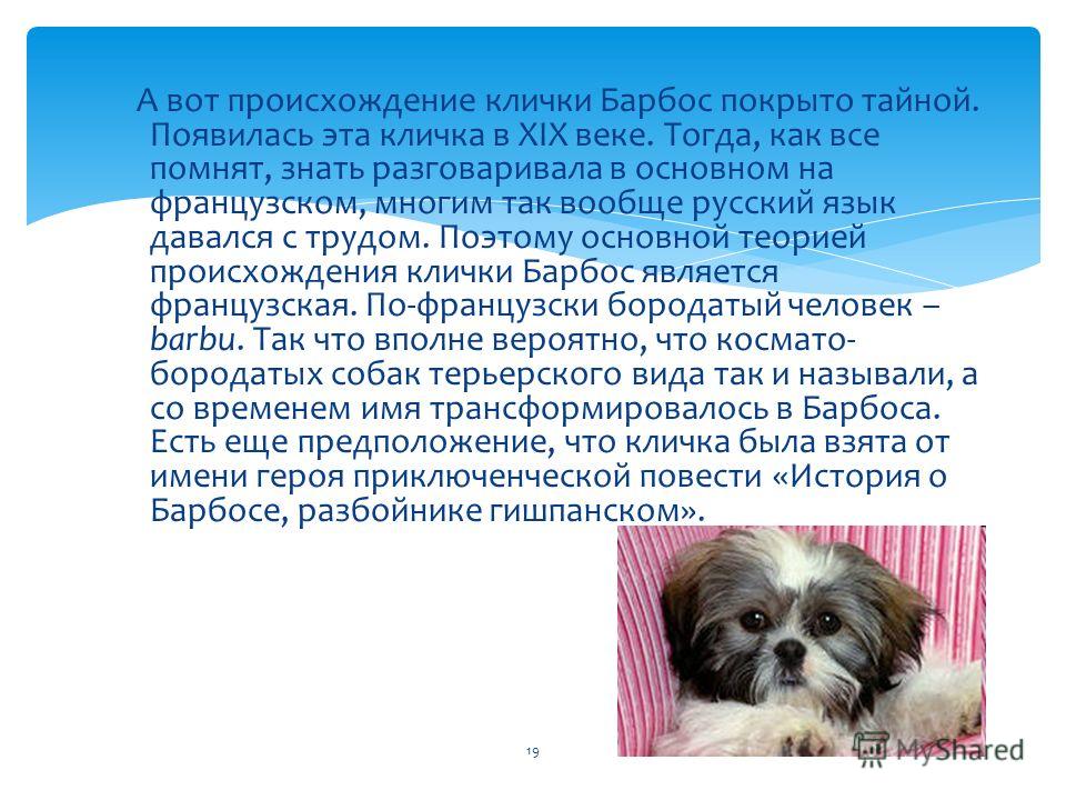 Домашние принтеры:экономная печать Горит в руках - это. Что такое горит в руках? - Учебный