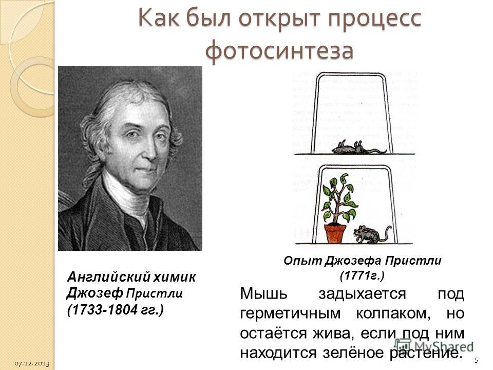 Как был открыт процесс фотосинтеза Английский химик Джозеф Пристли (1733-1804 гг.) Мышь задыхается под герметичным колпаком, но остаётся жива, если под ним находится зелёное растение. Опыт Джозефа Пристли (1771г.) 5 07.12.2013