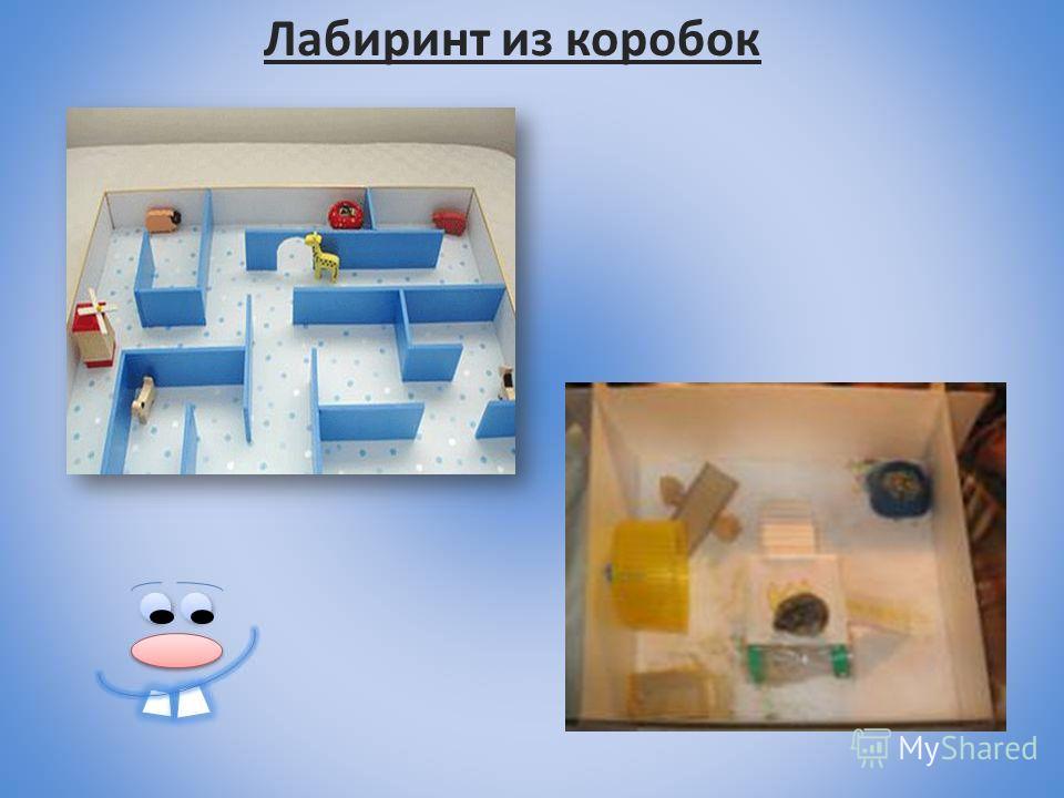 Лабиринты для хомяков своими руками 57