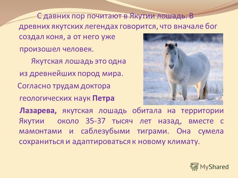 как узнать есть ли жир на животе как узнать есть ли жир на животе