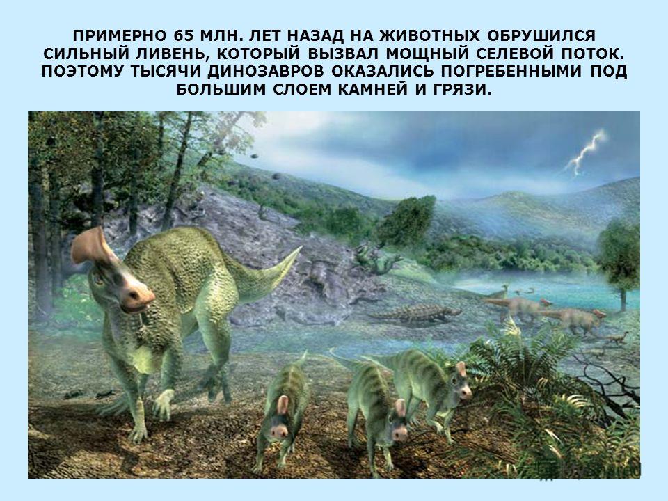 Животные 65 миллионов лет назад картинки Животные 65 миллионов лет назад картинки