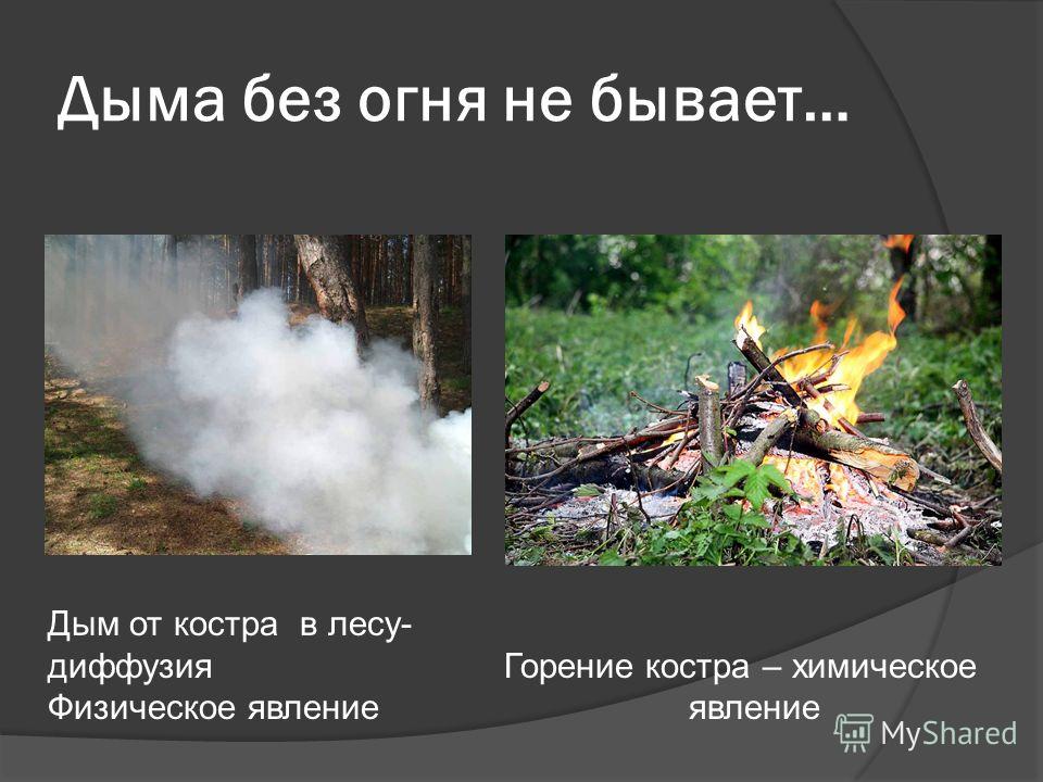 Дыма без огня не бывает… Дым от костра в лесу- диффузия Горение костра – химическое Физическое явление явление
