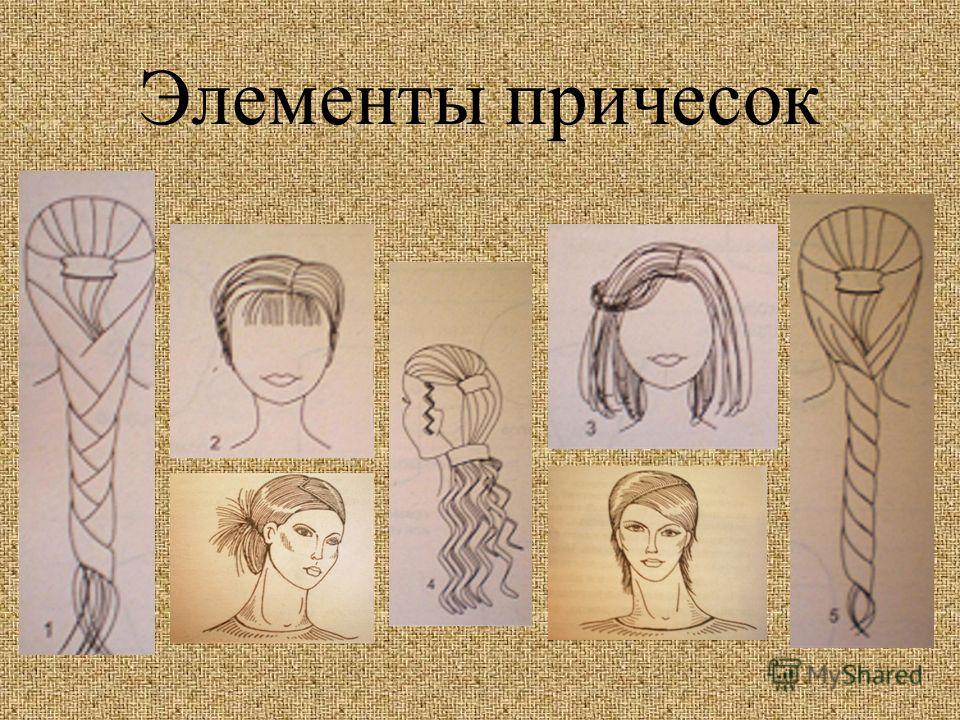 Рисунки элементов причесок Рисунки элементов причесок