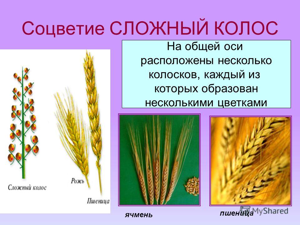 Платья костюмы крючком схемы Платья костюмы крючком схемы