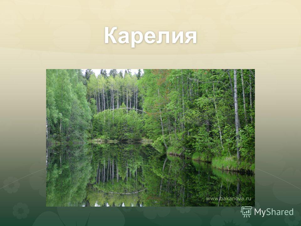 Реферат: Карелия