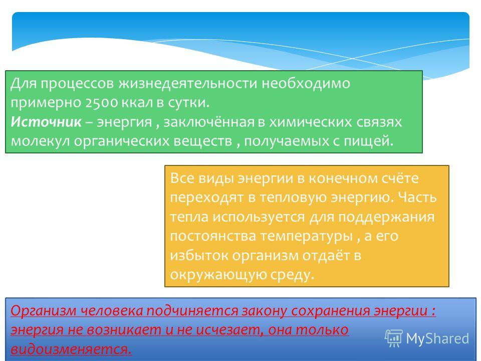 Смотреть 6 волшебных свойств корицы, которые делают ее незаменимой видео Смотреть 6 волшебных свойств корицы, которые делают ее незаменимой видео