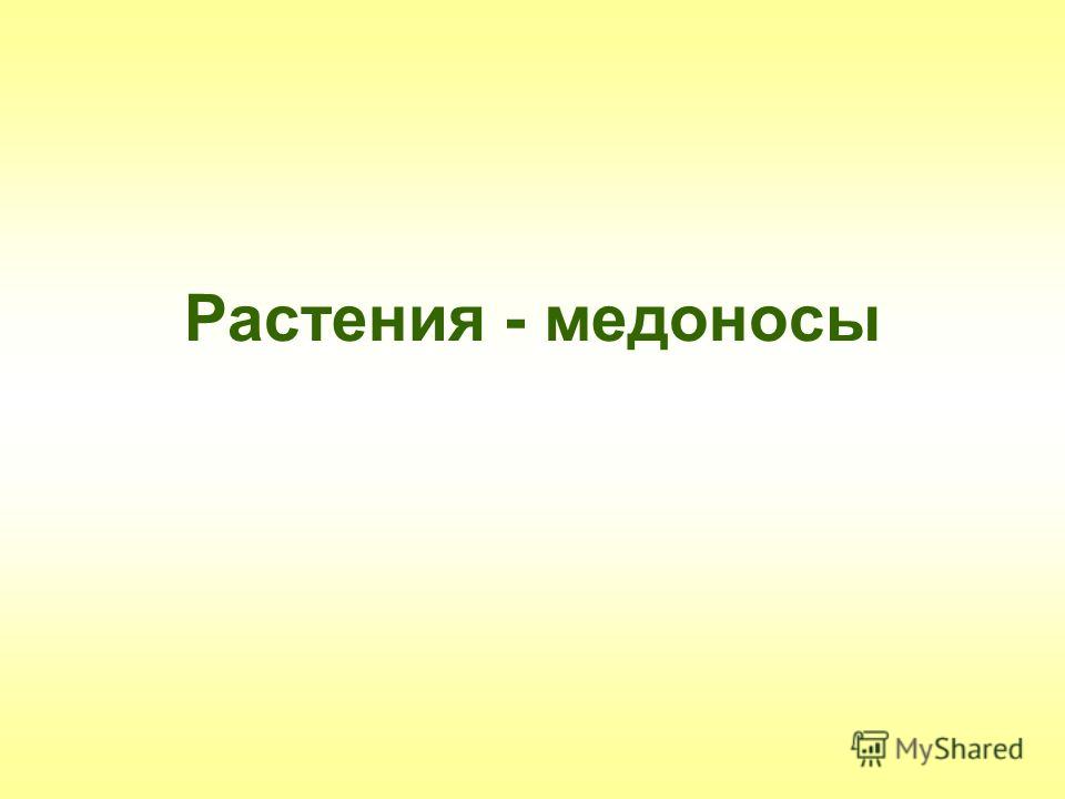 пижма и полынь от паразитов как принимать пижма и полынь от паразитов как принимать