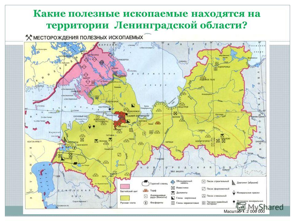 Какие полезные ископаемые находятся на территории Ленинградской области?