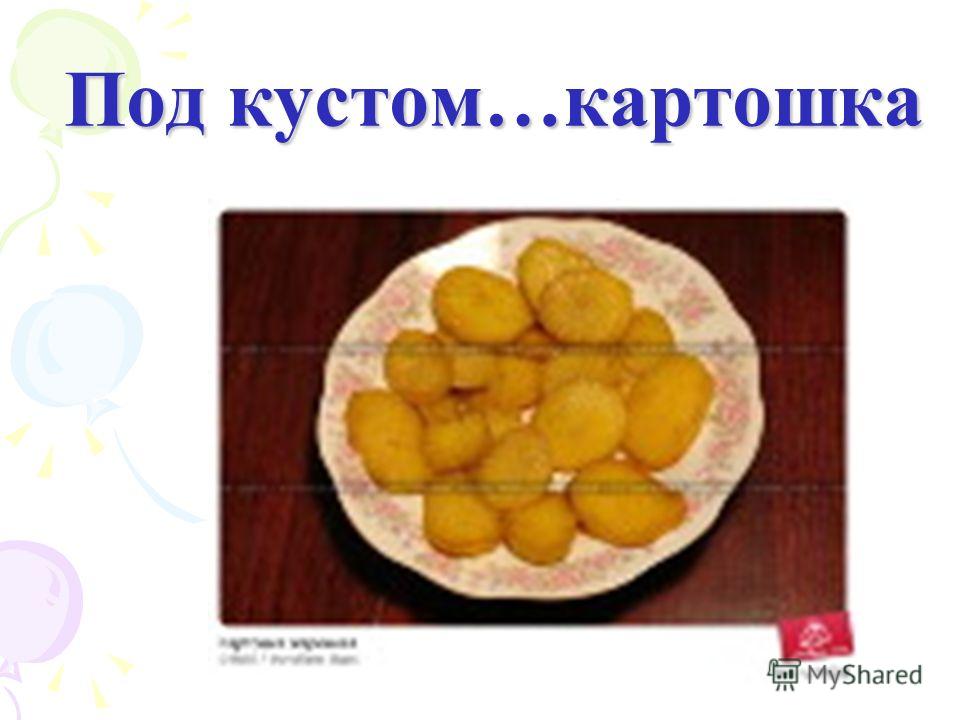 кроссворд здоровое питание кроссворд здоровое питание