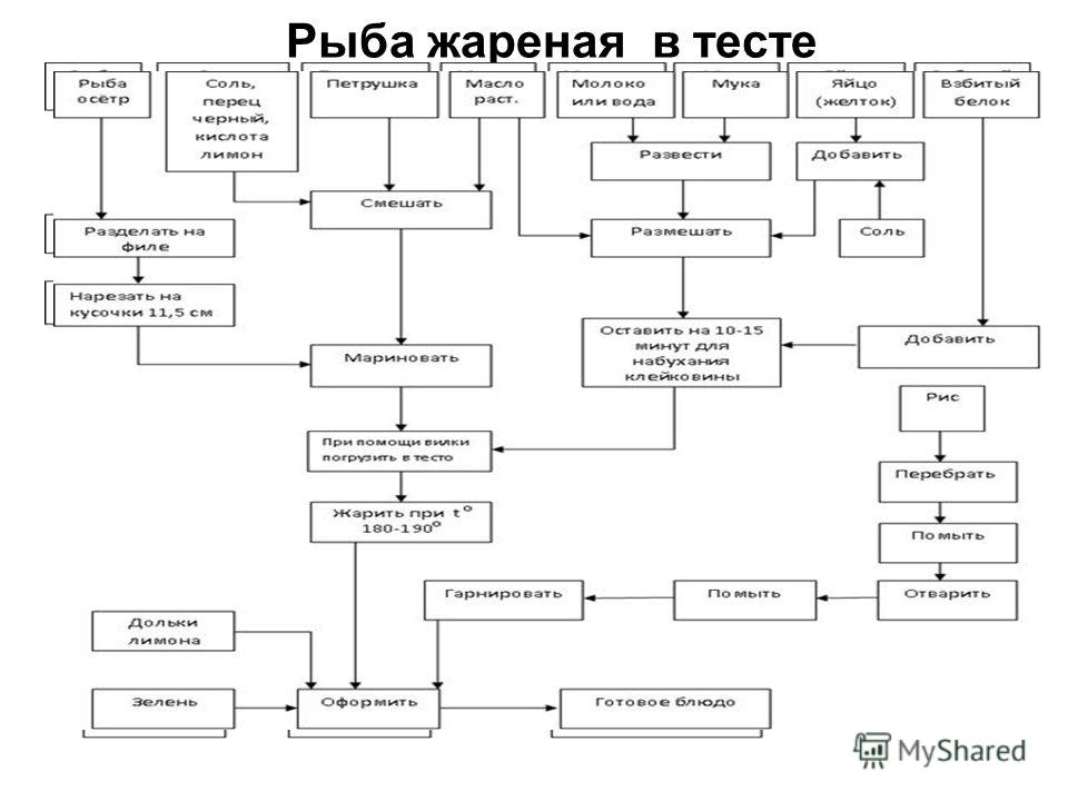 Руководство пользователя - Шеф Эксперт