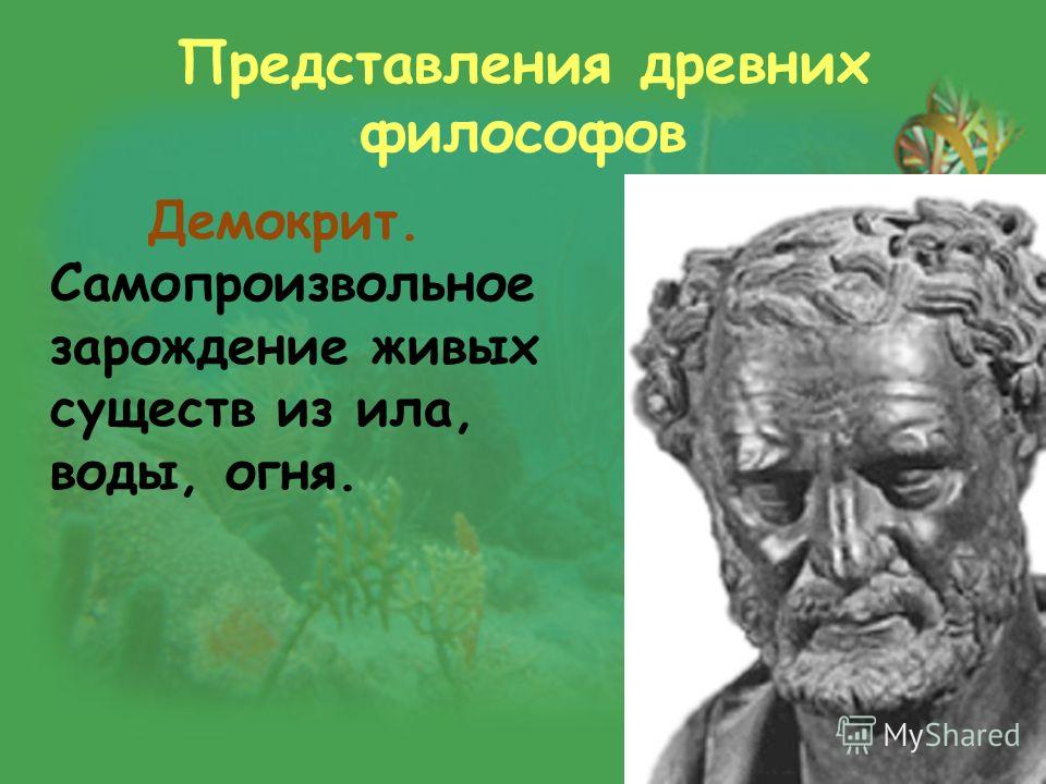 Женские стрижки для круглого лица в 2017 году (фото) Женские стрижки - подбираем себе стрижку очень старательно
