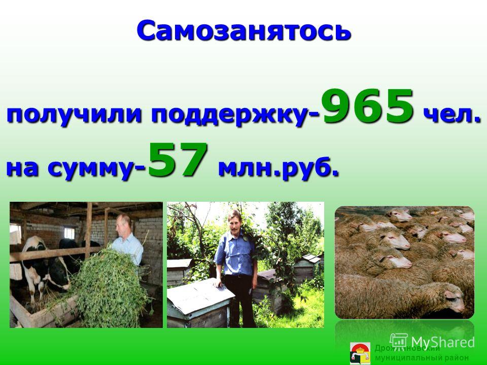 Самозанятось получили поддержку- 965 чел. на сумму- 57 млн.руб. Дрожжановский муниципальный район