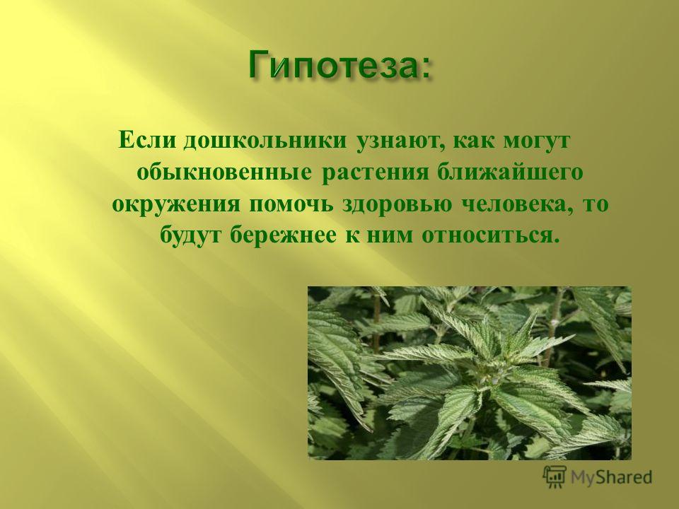 Презентация Лекарственные Растения Беларуси И Их Применение Фото Презентация Лекарственные Растения Беларуси И Их Применение Фото