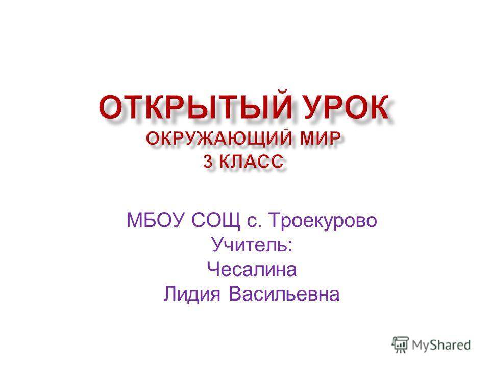 что означает волки позорные что означает волки позорные