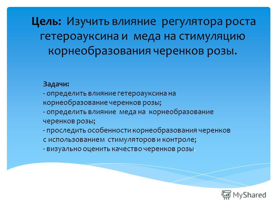 Презентация на тему: "Влияние стимуляторов на приживаемость черенков растений Вы