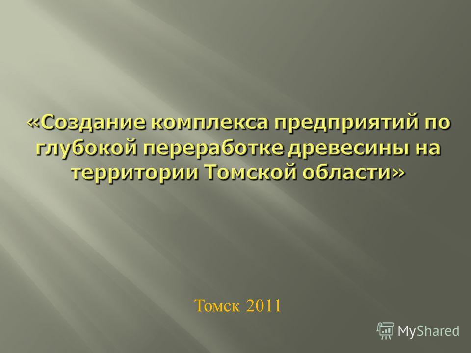 Томск 2011