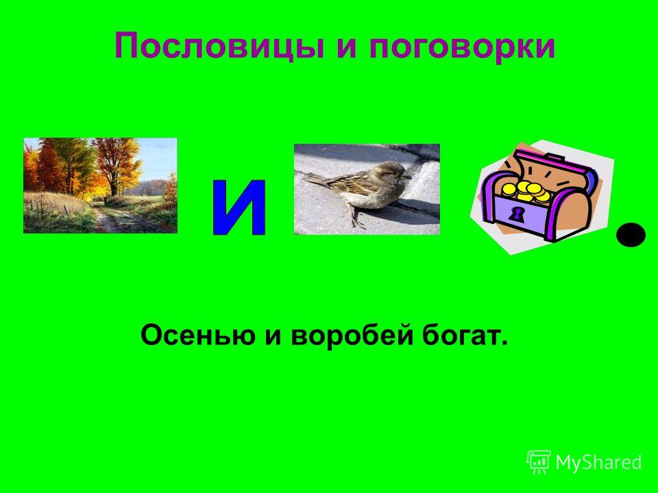 Афоризмы про жизнь Афоризмы о детских мечтах, о баскетболе, о детях, афоризмы Карима