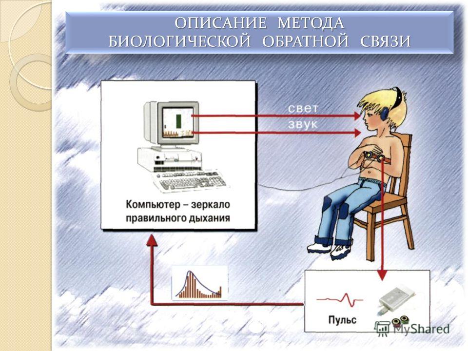 Презентация На Тему Обратная Связь