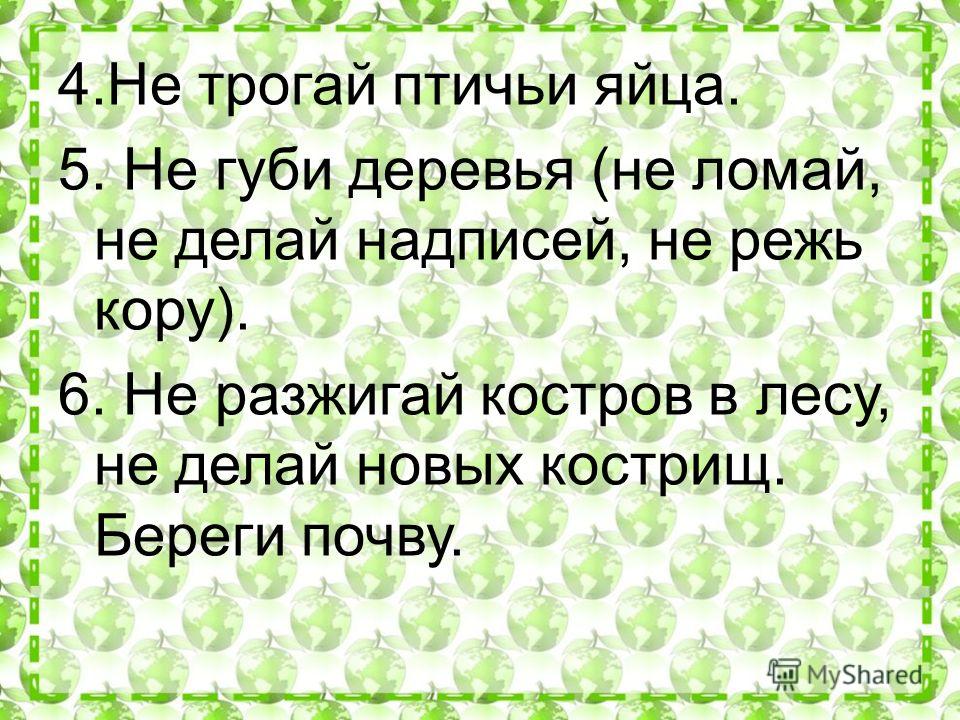 priroda: правила поведения в природе