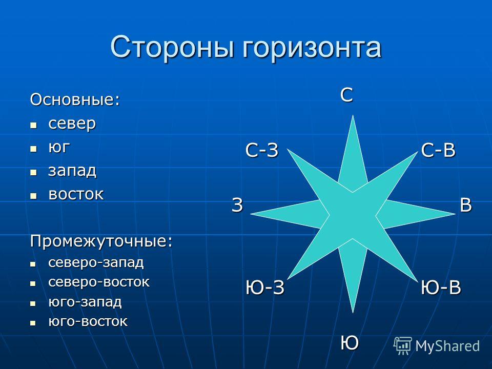 Где находится юг север запад восток Где находится юг север запад восток
