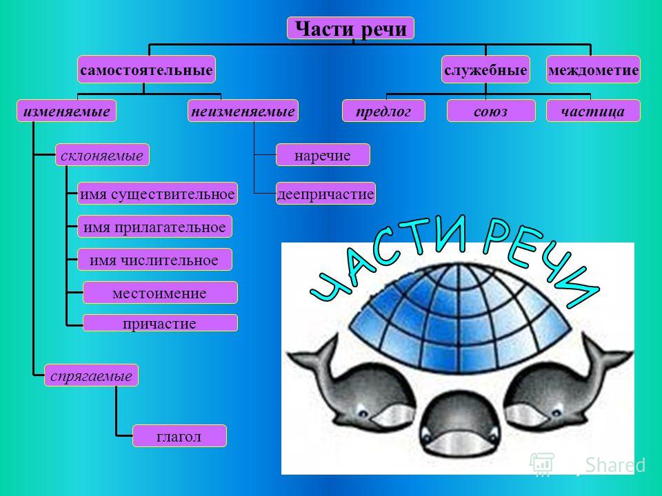 Знакомство С Частями Речи Презентация