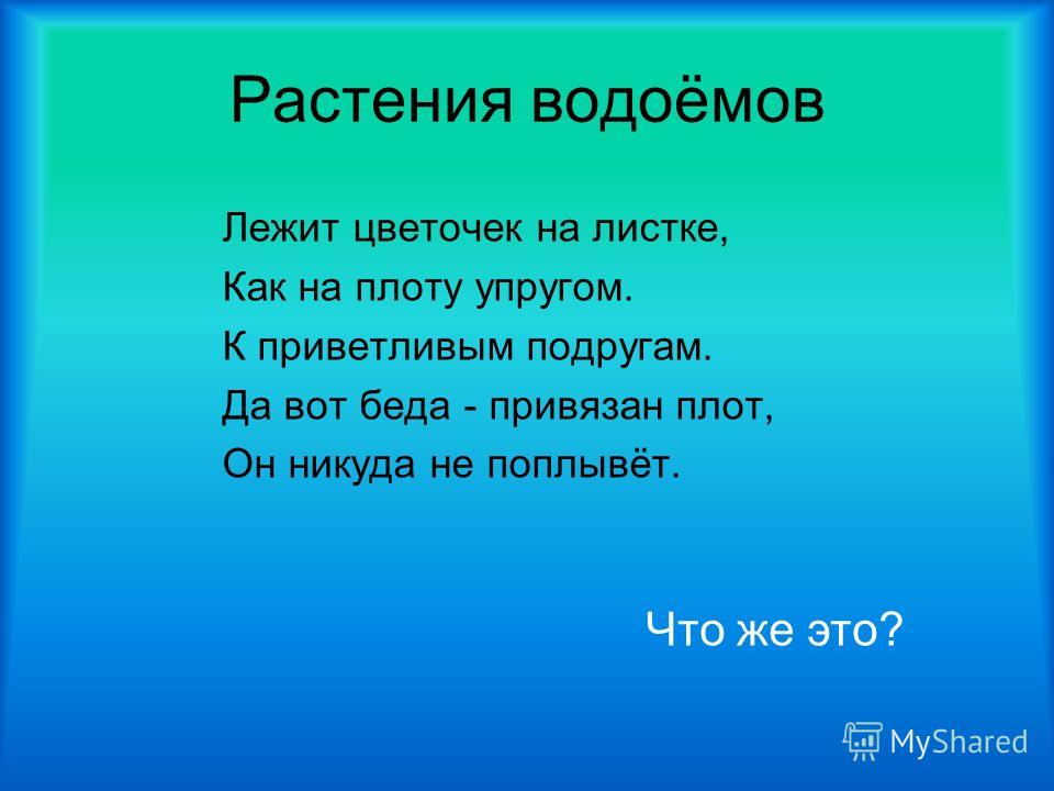 Реферат на тему растения и животные водоемов 7147