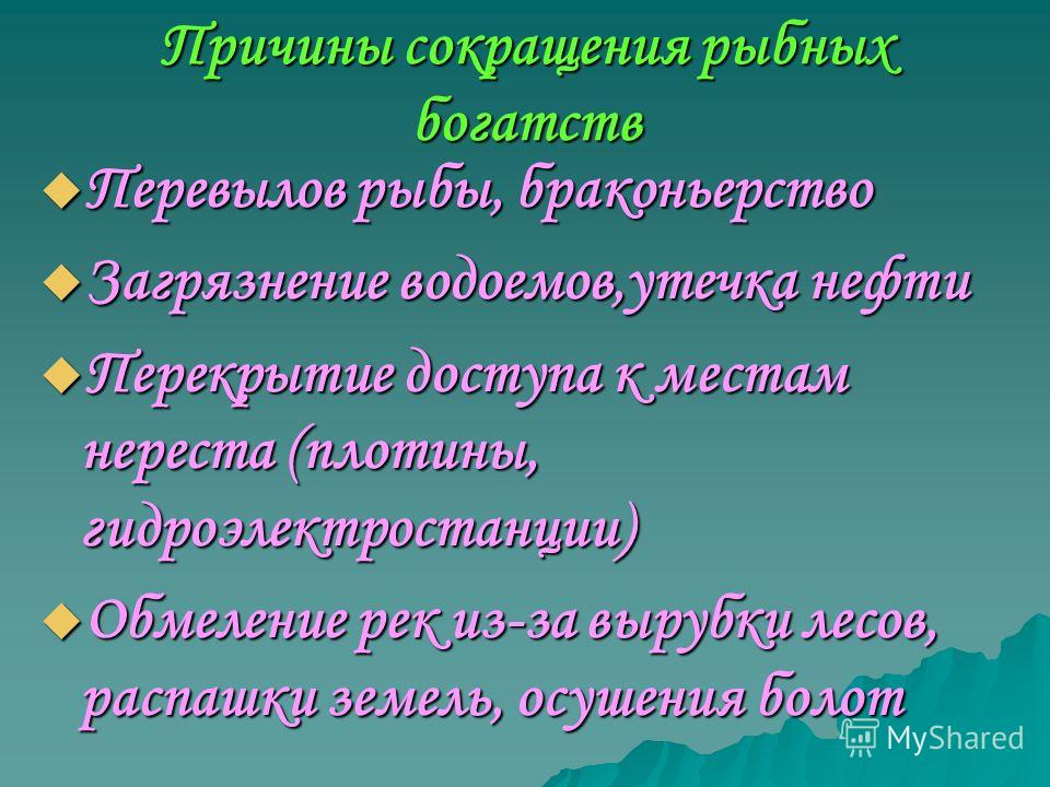 Накануне визита Путина в Казань у кремля кто-то вытоптал надпись Воры новые фото Накануне визита Путина в Казань у кремля кто-то вытоптал надпись Воры новые фото