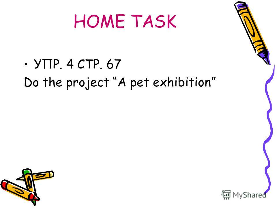 HOME TASK УПР. 4 СТР. 67 Do the project A pet exhibition