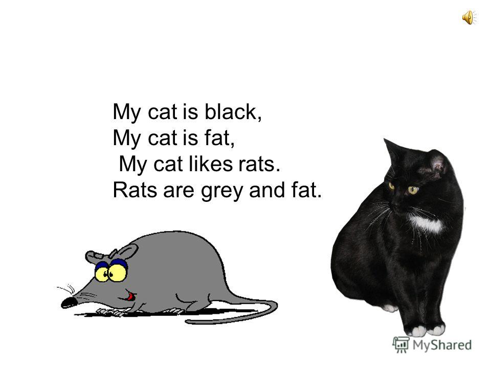 My cat is black, My cat is fat, My cat likes rats. Rats are grey and fat.