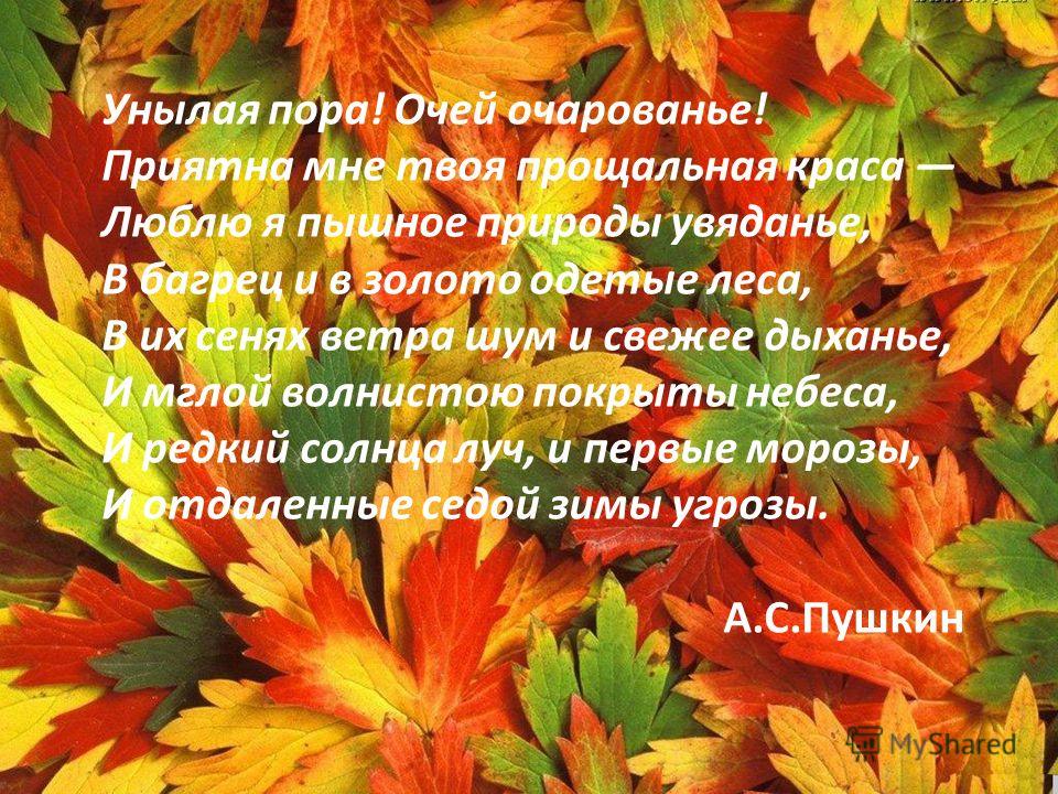 скачать шум ветра в лесу