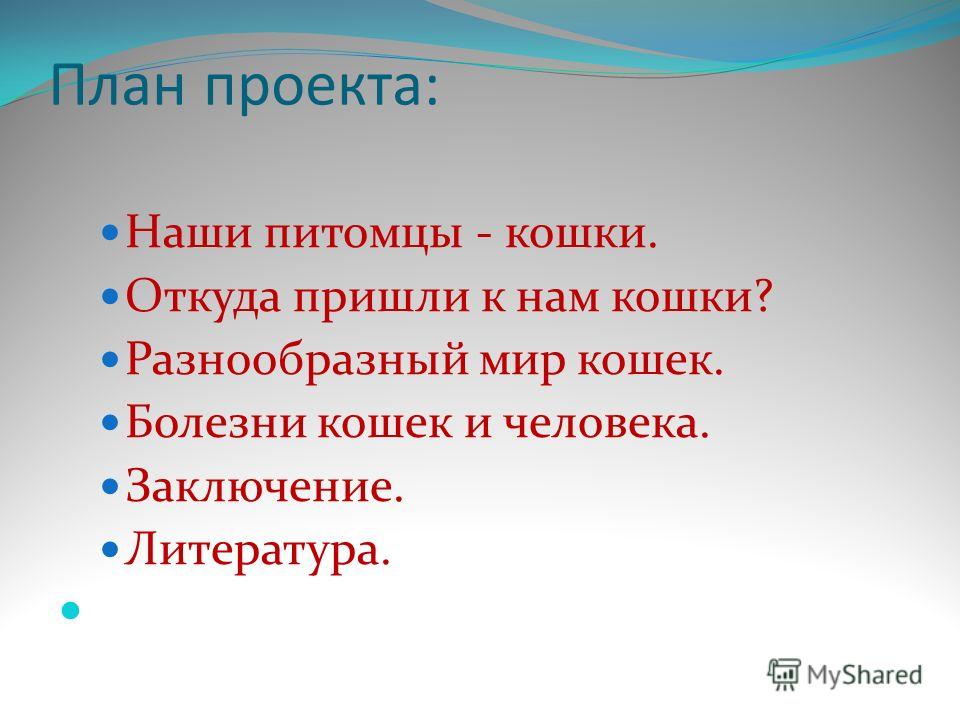 Конкурс про собак и кошек Конкурс про собак и кошек