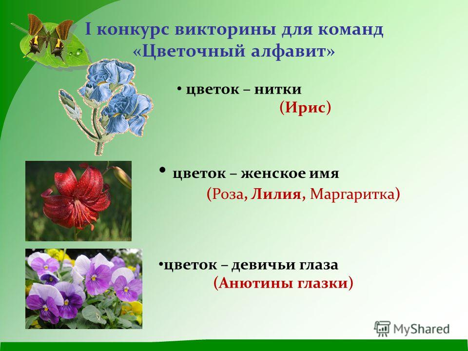 Цветок женского имени Цветок женского имени