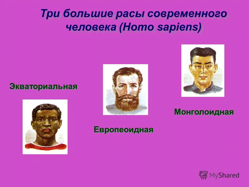 Три большие расы современного человека (Homo sapiens) Экваториальная Европеоидная Монголоидная