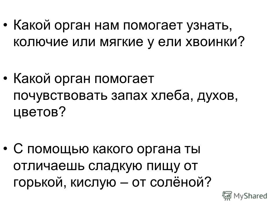 Орган чувства который помогает определить вкусна ли пища Орган чувства который помогает определить вкусна ли пища
