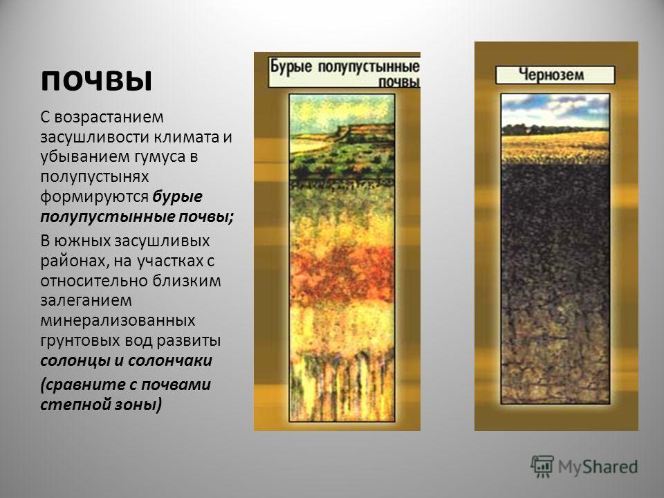 термобелье нужно какая почва в пустыни и полупустыни снижает теплопотерю организма