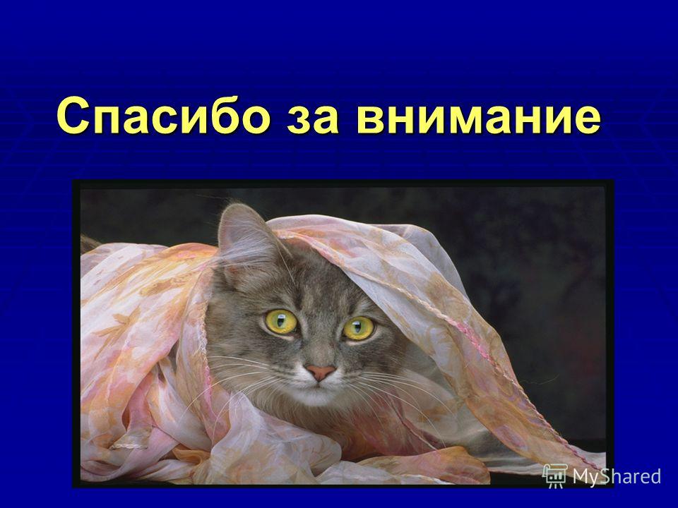 Ларингит у детей и лечение антибиотиками