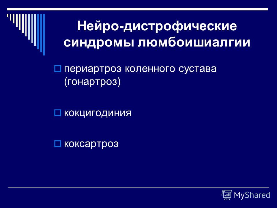 Мышцы разгибателей коленного сустава Мышцы разгибателей коленного сустава