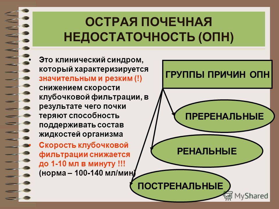Острая И Хроническая Почечная Недостаточность Реферат