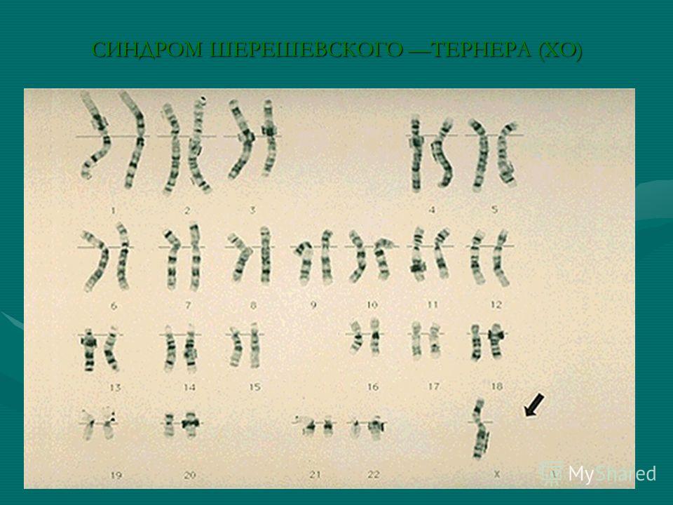 ускорить рост волос народные рецепты Рекомендацией ускорить рост волос народные рецепты