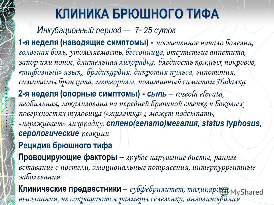 Брюшной Тиф Презентация