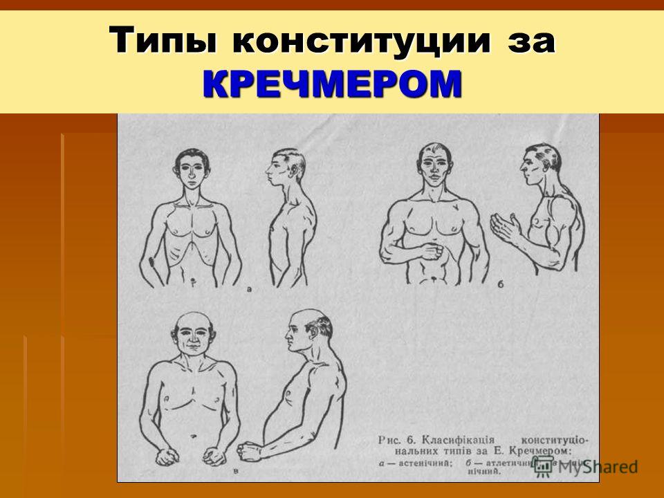 Бледная нежная кожа Бледная нежная кожа