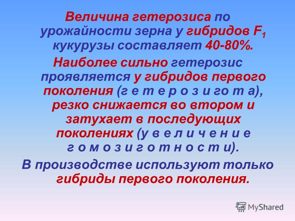 Узбекское, seks, minet, seks video, уз секс, уз порно, секис