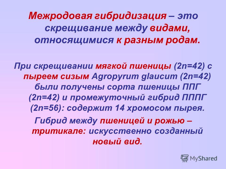 Доклад: Межвидовая гибридизация у птиц