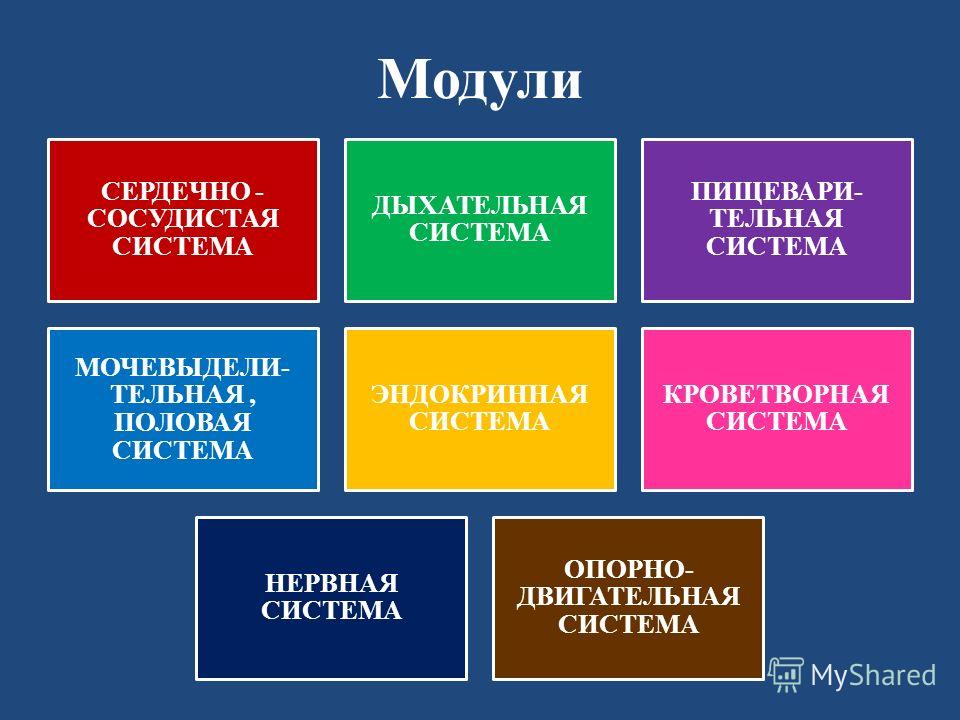 Пропедевтика сердечно сосудистая система шпаргалка Система сосудистая пропедевтика шпаргалка сердечно
