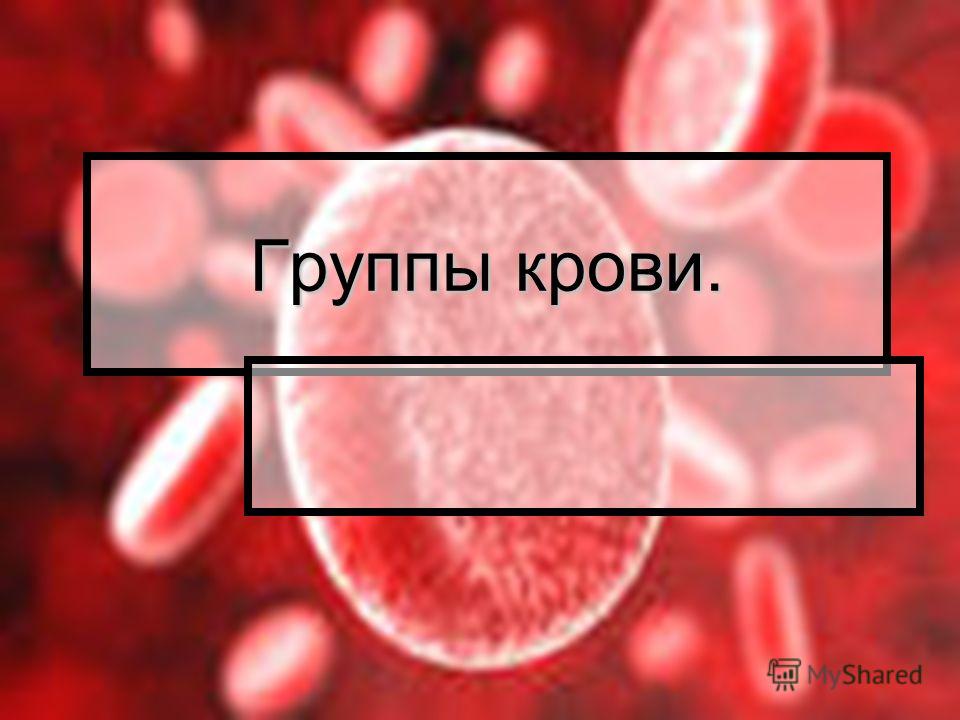 Группа Крови Человека Реферат Группа Крови Человека Реферат